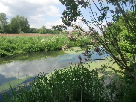 Geldern-Kapellen : Am Mühlenwasser, Issumer Fleuth